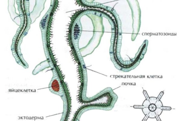 Кракен короткая ссылка