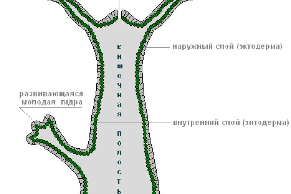 Что продает маркетплейс кракен