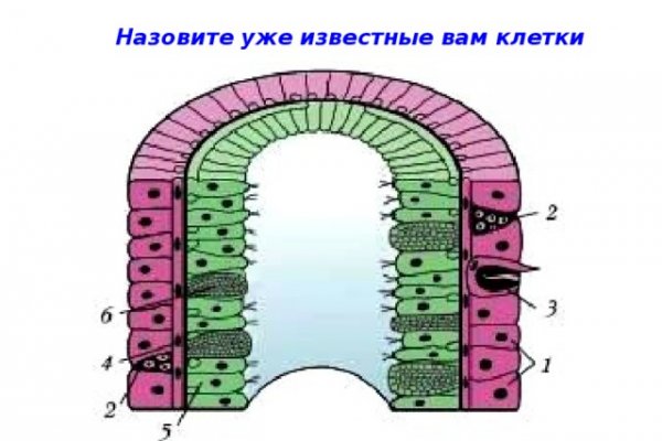Найти ссылку кракен