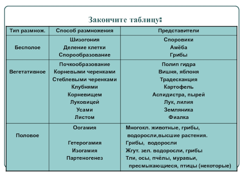 Кракен шоп krakenweb site